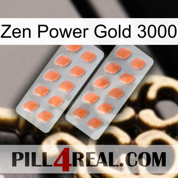 Zen Power Gold 3000 27.jpg